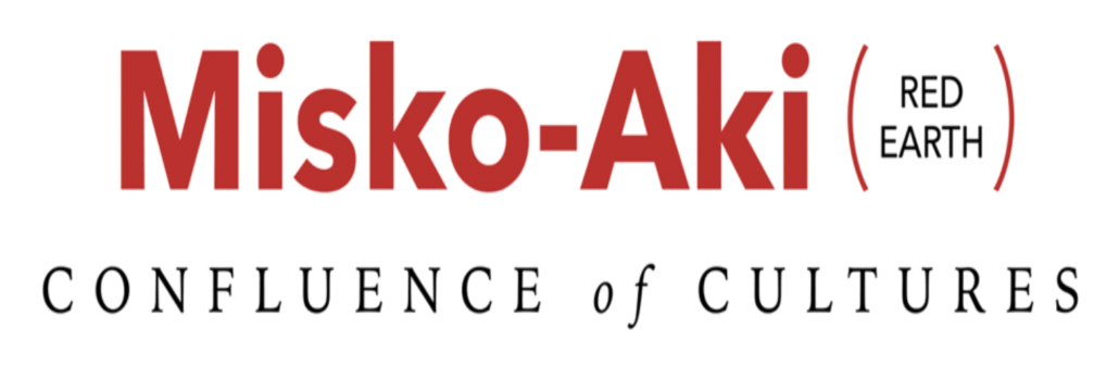 misko aki confluence of colures logo